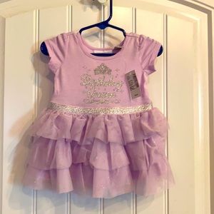 Baby Girl’s Birthday Dress